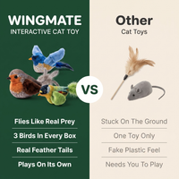 Wingmate - image 3